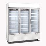 Digital Temperature Control Upright Glass Door Freezer 220V / 60Hz For Beverage