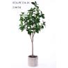 Buy cheap Low - Maintance Artificial Rubber Tree Evergreen Plant Modern Lifestyle from wholesalers