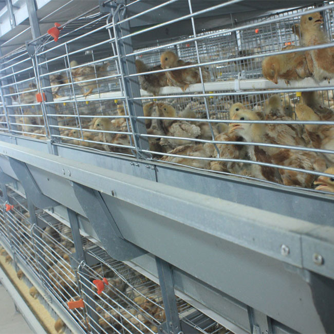 H Frame Battery Broiler Chicken Cage Hot Galvanized Steel Wire Mesh