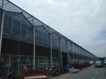 Agriculture FarmingVenlo Type Greenhouse For Fish Vegetable Hydroponics And