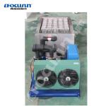 Video Outgoing-Inspection 1 Ton Stainless Steel Block Ice Making Machine with