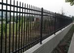 Various Size Decorative Ornamental Steel Fence For Residential , Weather Proof