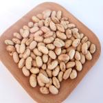 Salted Flavor Roasted Soya Bean Snacks Green Snacks Food With BRC / KOSHER