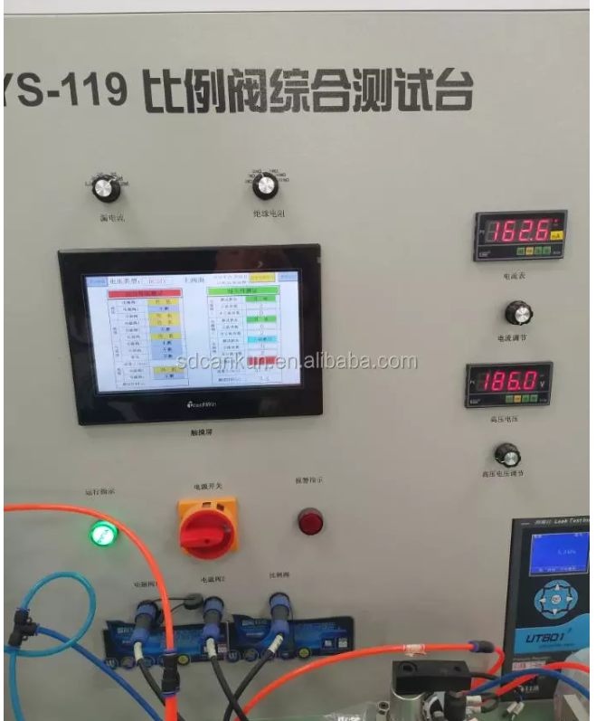 Stainless Steel Gas Water Heater NG LPG Gas Hot Water System 10L 12L Wall Mounted