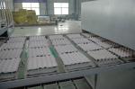 104kw 380v Chicken Egg Tray Machine Roller Type 1 Year Warranty