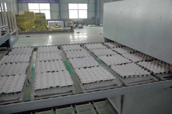Buy cheap 104kw 380v Chicken Egg Tray Machine Roller Type 1 Year Warranty from wholesalers
