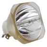 Buy cheap School Education 350W Bare Projector Lamp 62X62mm NP26LP from wholesalers