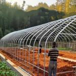 Agricultural Commercial Industrial 12m Width Anti UV PE Plastic Film Greenhouse