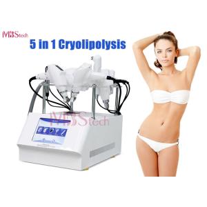 Buy cheap 5 In 1 Multifunction Cryolipolysis Fat Freeze Slimming Machine from wholesalers