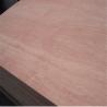Buy cheap Hotel Bintangor Back 610*2440mm Green Panel Plywood from wholesalers
