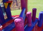 Princess Jumping Castle Outdoor Kids Party Inflatable Bounce House Combo For