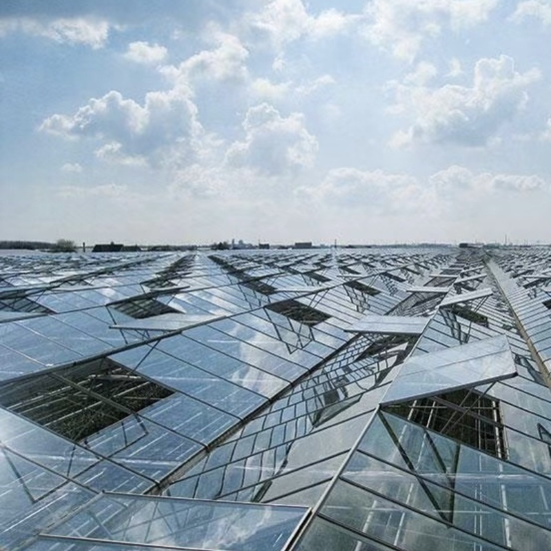 Guaranteed Quality Proper Price Intelligent Garden Glass Frame Agriculture Greenhouse Sale