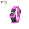 Buy cheap Eco - Friendly Pet Collar For Dog Walking , Fashion Sport Dog Collar from wholesalers