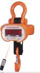 Cast Aluminum Heavy Duty Crane Scale 5 Ton Digital Crane Weighing System