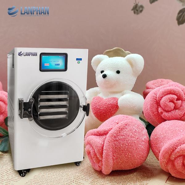 Home Freeze Dried Food Machine With Vacuum Pump For Handmade Candies, Yogurt
