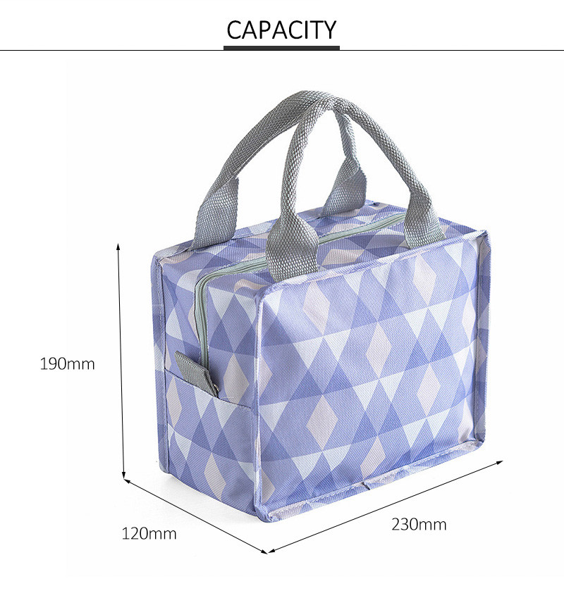 PEVA Lining 600D Polyester Insulated School Lunch Bag