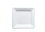 10 Inch 30g Kitchen Dinnerware Bio Food Packaging