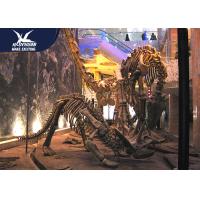 Buy cheap Durable Fiberglass Life Size Dinosaur Skeleton / Dinosaur Fossil For Kids product