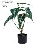 Buy cheap Faux Italian Arum Artificial House Plants Vibrant Green Leaves Eco - Friendly from wholesalers