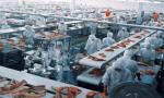 Custom Food Grade Polyurethane Conveyor Belt / PU Conveyor Belt For Food