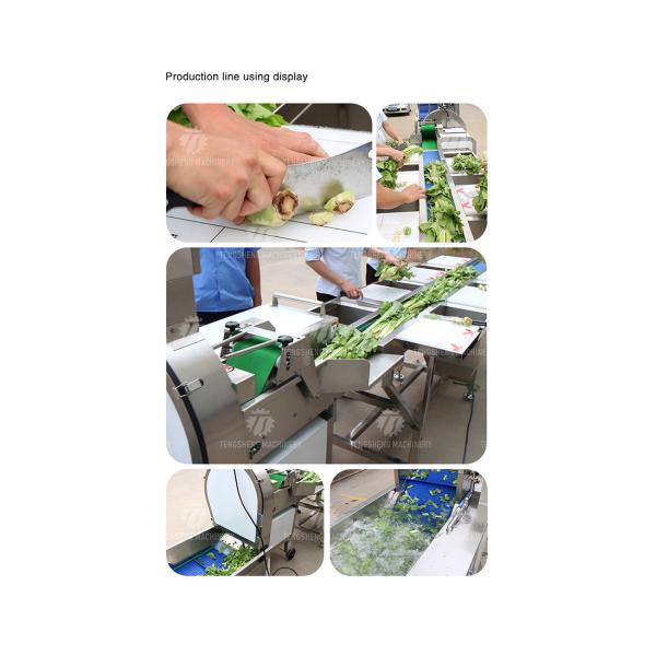 Automatic Vegetable And Fruit Production Line Selection Cutting And Washing Machine