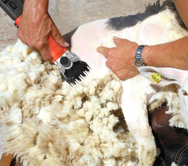 Buy cheap 690W Automatic Sheep Shearing Machine 220V Electric Wool Shears from wholesalers