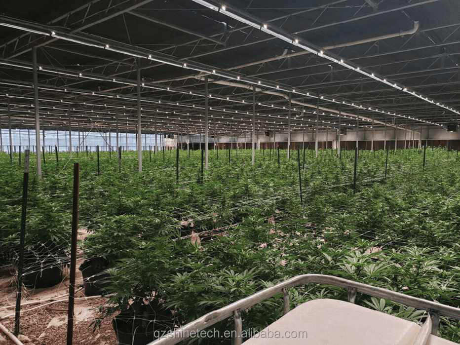 Large Film Greenhouse Farming Fully Automated Light Deprivation System For Agriculture