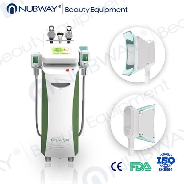 Buy cheap Hot 5 handles cryolipolysis body slimming beauty machine for clinic in advance from wholesalers