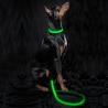Buy cheap USB Rechargeable Reflective Pet Leash 47 Inches Glowing Dog Accessories from wholesalers