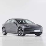 Tesla Model 3 Closed Body Type 4 Wheel 5 Seats Electric SUV Adult Car EV Energy