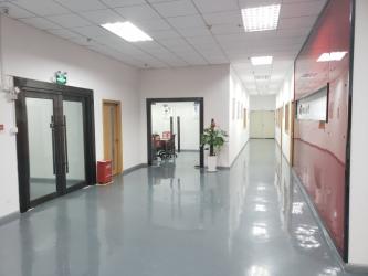 Shenzhen Sigmaforce Industrial Chairs Co., Ltd.