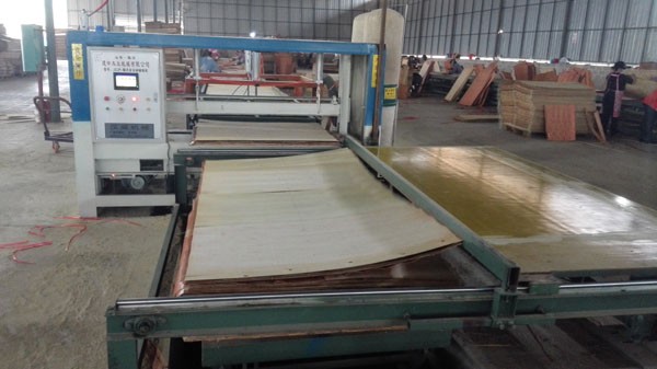 Eucalyptus Hardwood Poplar E2 22mm Melamine Faced Birch Plywood