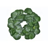 Buy cheap Ornamental Wall Hanging 2.3 M Green Simulation Tree Vine product