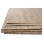 TOP SALES Bamboo Plywood Board Single-Ply Horizontal Laminated Bamboo Panels