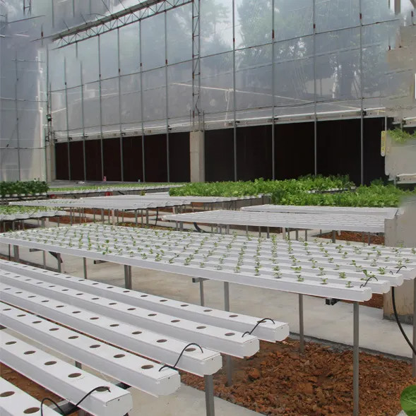 Soilless Indoor Farming Strawberry Growing PVC Tube For Hydroponics NFT System For Sale