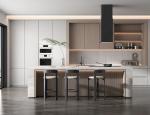 Particle Board Modern Wooden Matt Lacquer Finished Grey Kitchen Cabinet