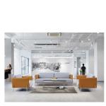 classical modern ： Shared Workspace Furniturelounge sofa