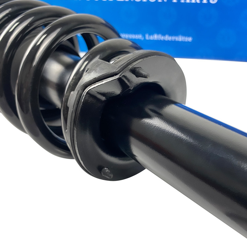 Car Coil Spring Shock Absorber Rear 1015620-01-E for Improved Driving Experience for Tesla Model S