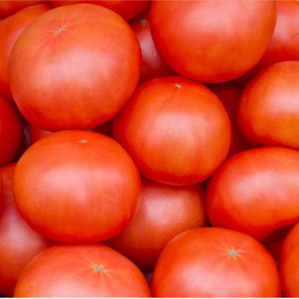 Buy cheap 500kgs Per Hour Tomato Paste Processing Line Stainless Steel from wholesalers