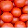 Buy cheap 500kgs Per Hour Tomato Paste Processing Line Stainless Steel from wholesalers
