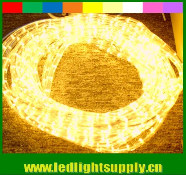 Buy cheap 110V/220v yellow 2 wire led christmas rope lights decoration lights from wholesalers