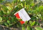 Personalized 5g Disposable White Sugar Packets Eco-Friendly