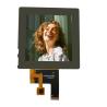 Buy cheap Coustom LCD Display 3.4 Inch MIPI Interface 480x480 20pin Industrial Digital Screen from wholesalers