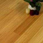 Modern Solid Bamboo Floor For Popular Long Wood Plank Flooring
