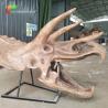 Buy cheap ISO water repellent Dinosaur Skeleton Replica Fossil Life Size Triceratops Skull from wholesalers