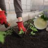 Buy cheap Organic Fertilizer Amino Acid Chelated Micronutrients Magnesium from wholesalers