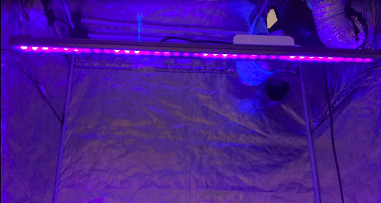 Aluminum UV120 4" 80W 395nm Indoor Growing LED Bar