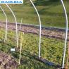 Buy cheap Agricultural Plastic Film Greenhouse Large Size High Latitude Area Ecological from wholesalers
