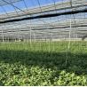 Buy cheap Origin Multi-Span Film Agricultural Greenhouse for Your Agricultural Business from wholesalers