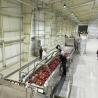 Buy cheap Food Industries Apple Puree Processing Line SUS 304 1t/h - 20t/h from wholesalers